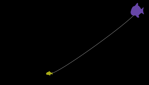 Screenshot: Two differently colored and differently sized fish connected by a white line. Black background.