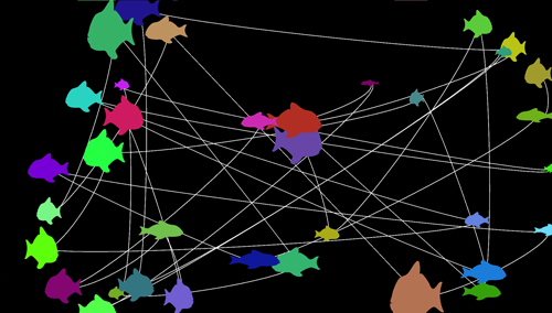 Screenshot: More than 20 differently colored and differently sized fish connected by a white line. Black background.