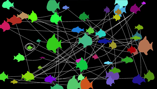 Screenshot: Around 40 differently colored and differently sized fish connected by a white line. Black background.