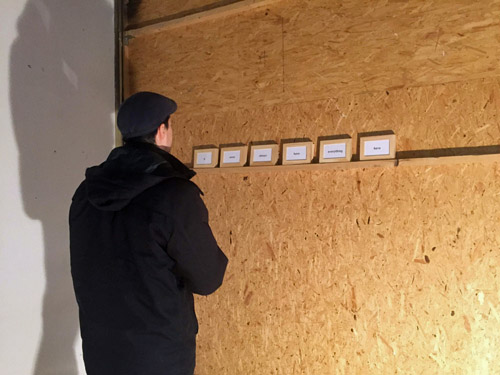 Photo of a person looking at the frames mounted on a beam on a wooden wall.